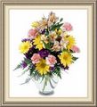 Flowers by Jameson, 415 Spier Ave, Allenhurst, NJ 07711, (732)_531-3050
